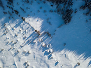 High angle view of frozen trees on land