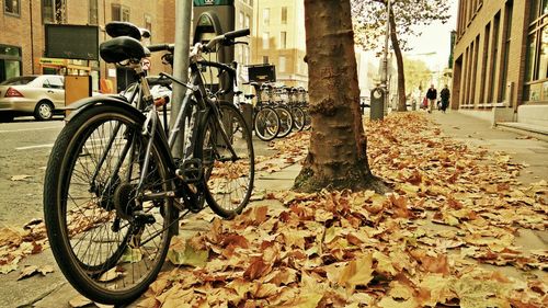 Bicycles parked on street