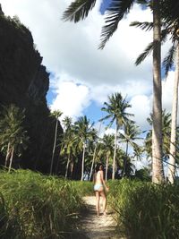 Rear view of woman standing by palm trees against sky