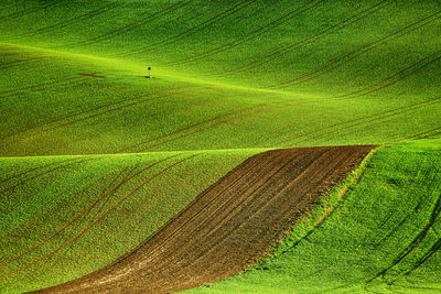 Scenic view of grassy hill