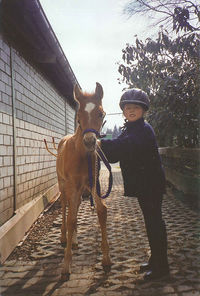 Portrait of woman with horse in container