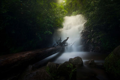 View of waterfall in forest