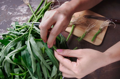 Cropped hands of woman cutting vegetables on table