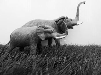 Close-up of elephant animal toys on field