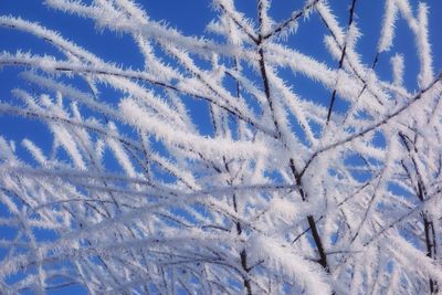 Close-up of snow on field against blue sky