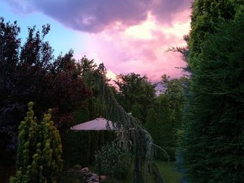 Scenic view of trees against cloudy sky