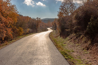 Empty road amidst trees against sky