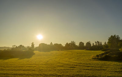 Scenic view of field against sky during sunset