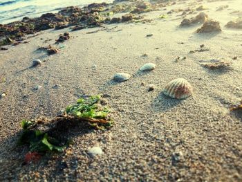 High angle view of sand on beach