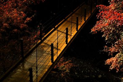 High angle view of bridge amidst trees during sunset