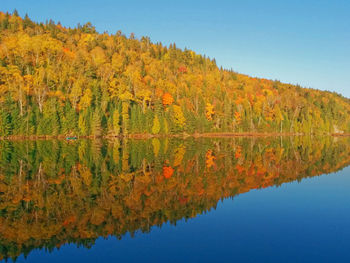 Scenic view of lake against clear sky during autumn