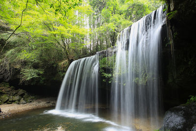 Scenic view of waterfall in forest