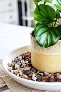 Close-up of breakfast on table