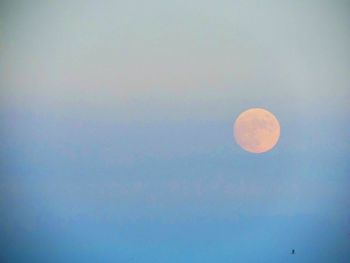 Low angle view of moon in sky