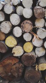 Full frame shot of logs in forest