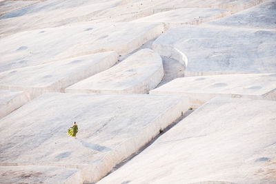 High angle view of bird on rock