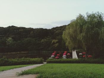 Scenic view of green landscape against sky