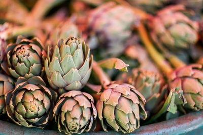 Close-up of artichokes for sale in market