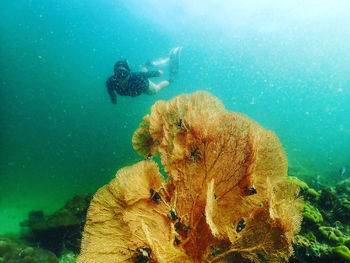 People swimming in sea