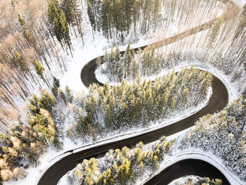 High angle view of road amidst trees in tunnel