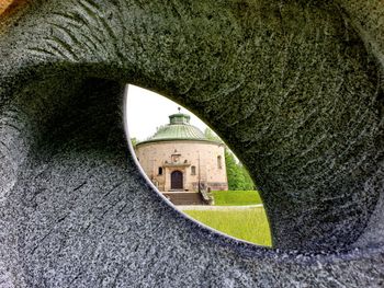 Plants seen through hole in building