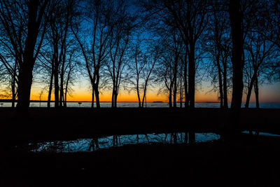 Silhouette of trees during sunset