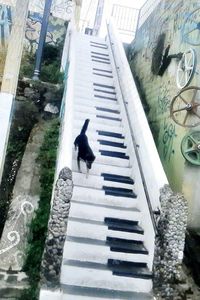 High angle view of birds on steps