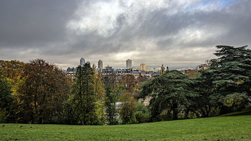 Trees and buildings against sky