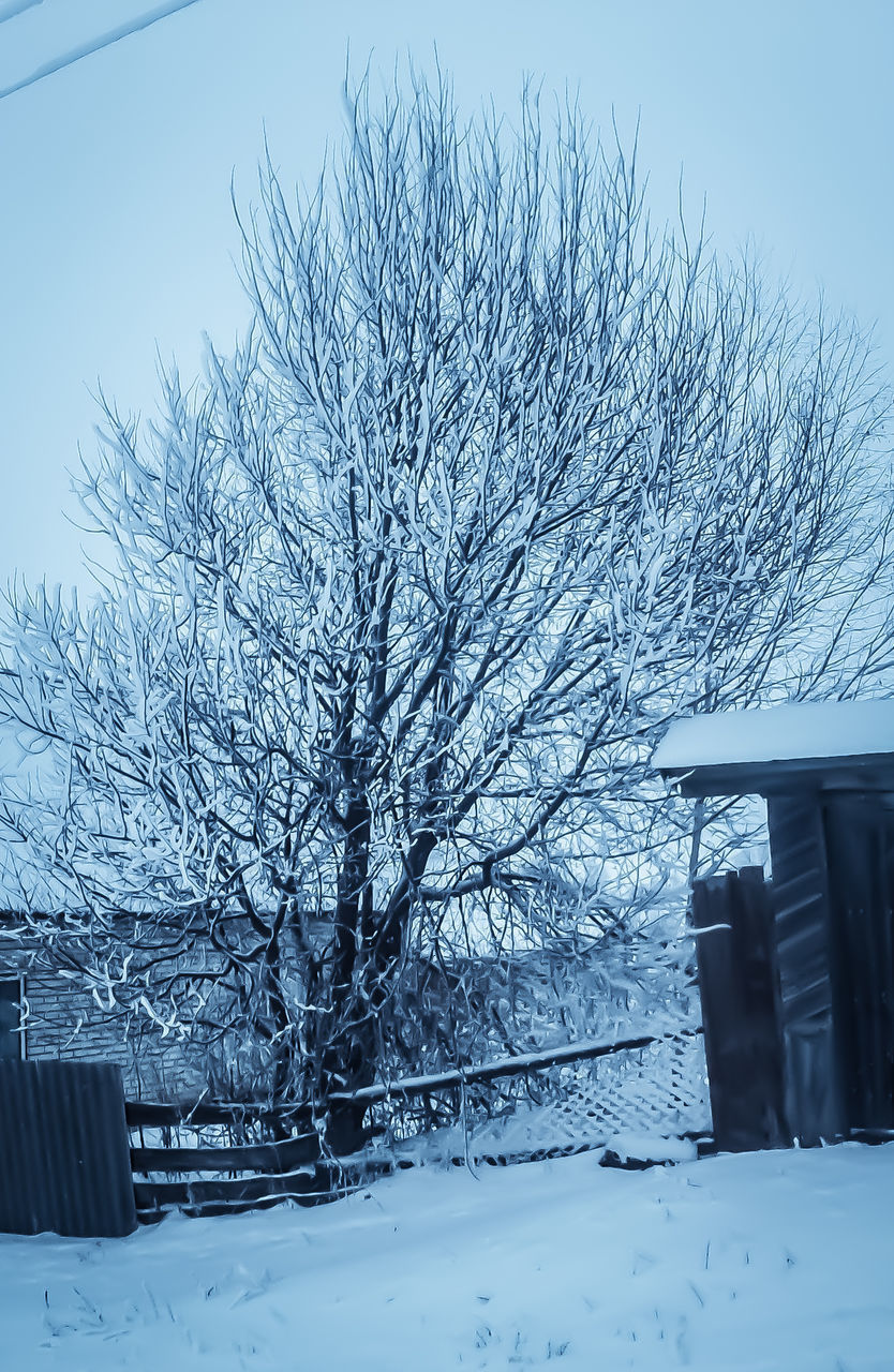 SNOW COVERED BARE TREES AND BUILDINGS AGAINST SKY