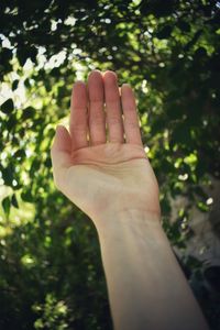 Cropped image of person hand against tree