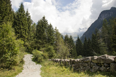 Scenic view of trees and mountains against sky