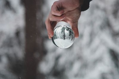 Cropped hand holding crystal ball against trees during winter