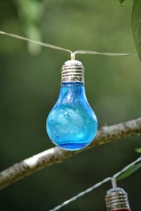 Close-up of blue hanging feeder