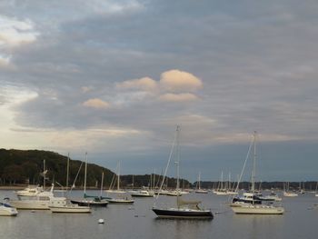 Sailboats moored in harbor against sky