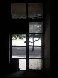 Silhouette trees seen through entrance of window