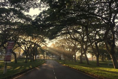 Road amidst trees against sky