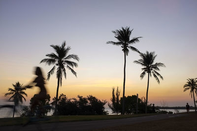 Silhouette palm trees on beach against sky at sunset