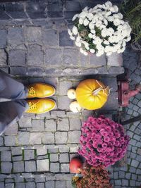 Low section of person by flowering plants on footpath