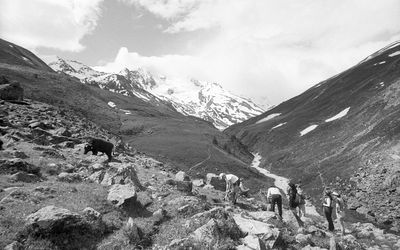 mountain