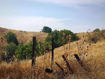 Scenic view of landscape against sky