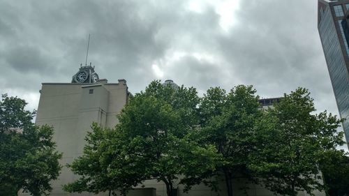 Panoramic view of trees against sky