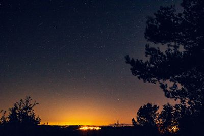 Low angle view of silhouette trees against sky at night