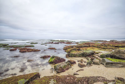 Coastal morning on a rocky beach and reef area. la jolla, ca.