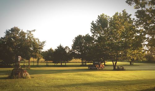 Trees on field against clear sky