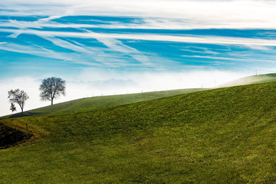 Scenic view of field against sky