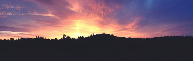 Silhouette of trees at sunset