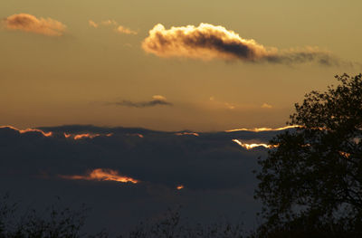 Low angle view of silhouette trees against sky during sunset