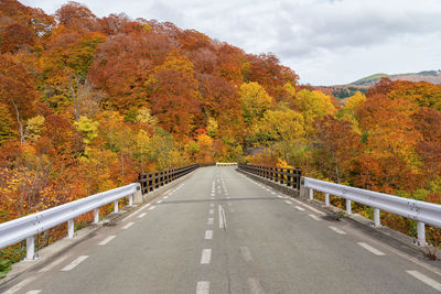 Empty road along trees during autumn