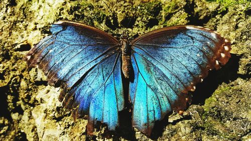 View of rocks in water