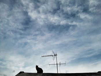 Low angle view of person against sky